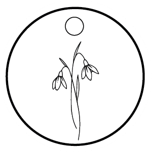 Siječanj - Visibaba